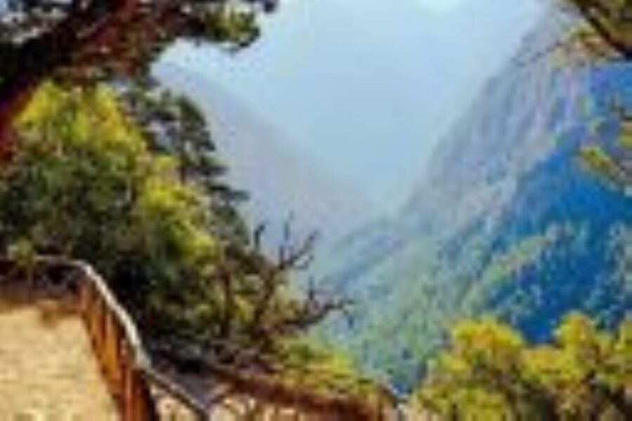 From Rethymno: Samaria gorge with Professional Hiking Guide - Should you book this Samaria Gorge hike?