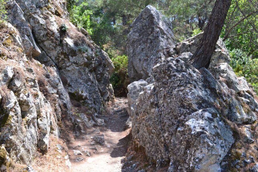 From Rhodes: Lindos and 7 Springs Valley Bus Tour - Price and value: $31 is the deal, but tickets are extra