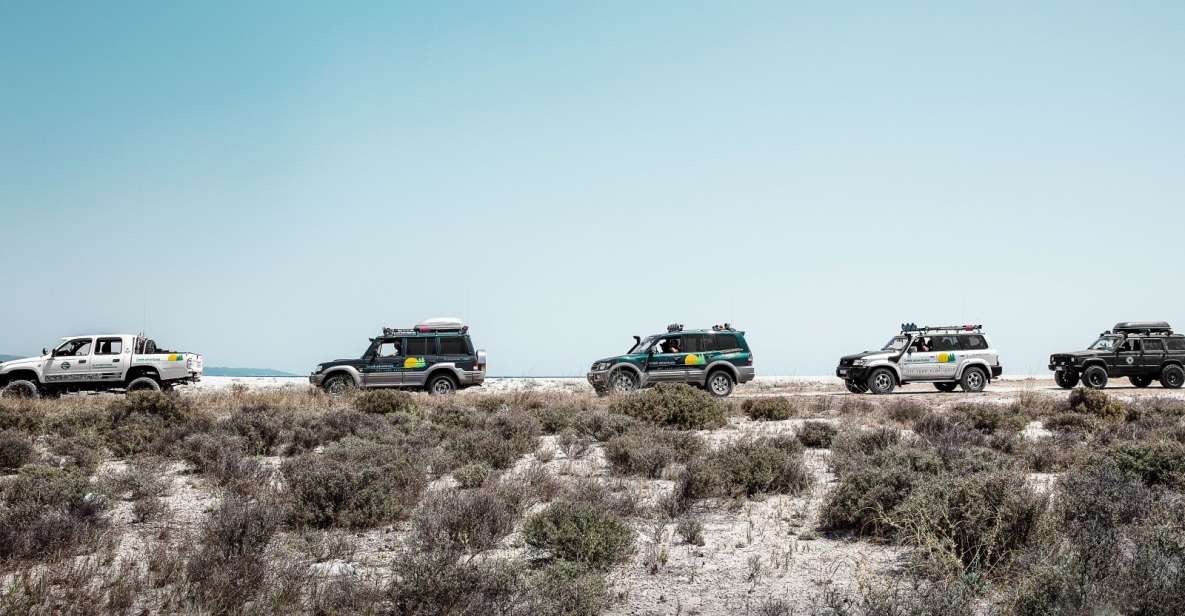 From Sithonia: Private 4x4 Off-Road Safari in Halkidiki - Five things to know before you book
