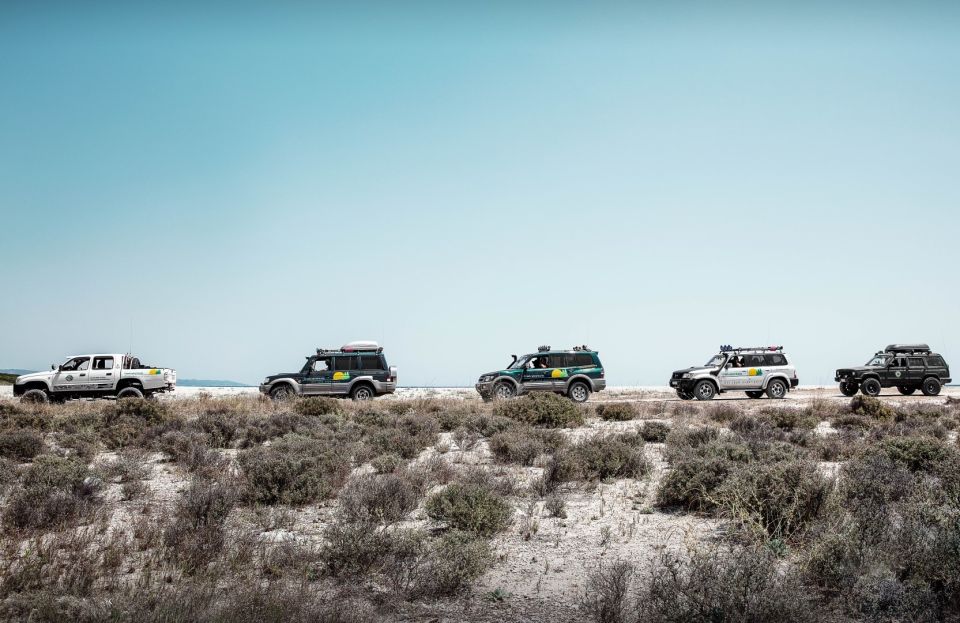 From Sithonia: Private 4x4 Off-Road Safari in Halkidiki - Practical Details That Matter