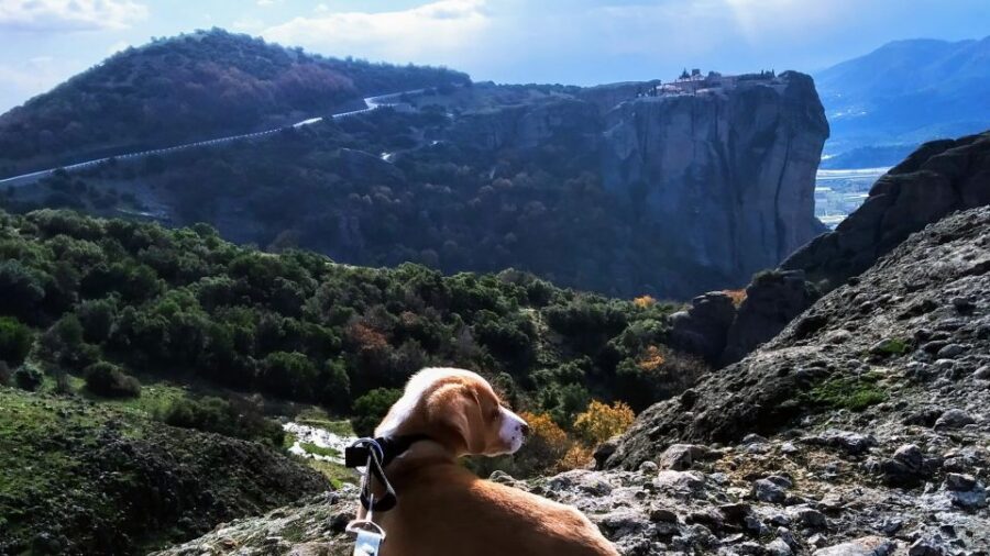From Thessaloniki: Meteora Small Group Day Trip - Kalambaka Break: A Small Pause That Keeps the Day Enjoyable
