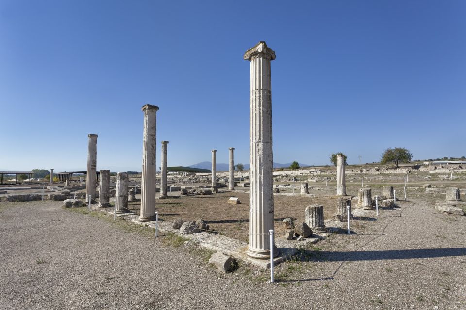 From Thessaloniki: Pella, Edessa and Naoussa Full-Day Tour - Pella: walking through Alexander’s birthplace