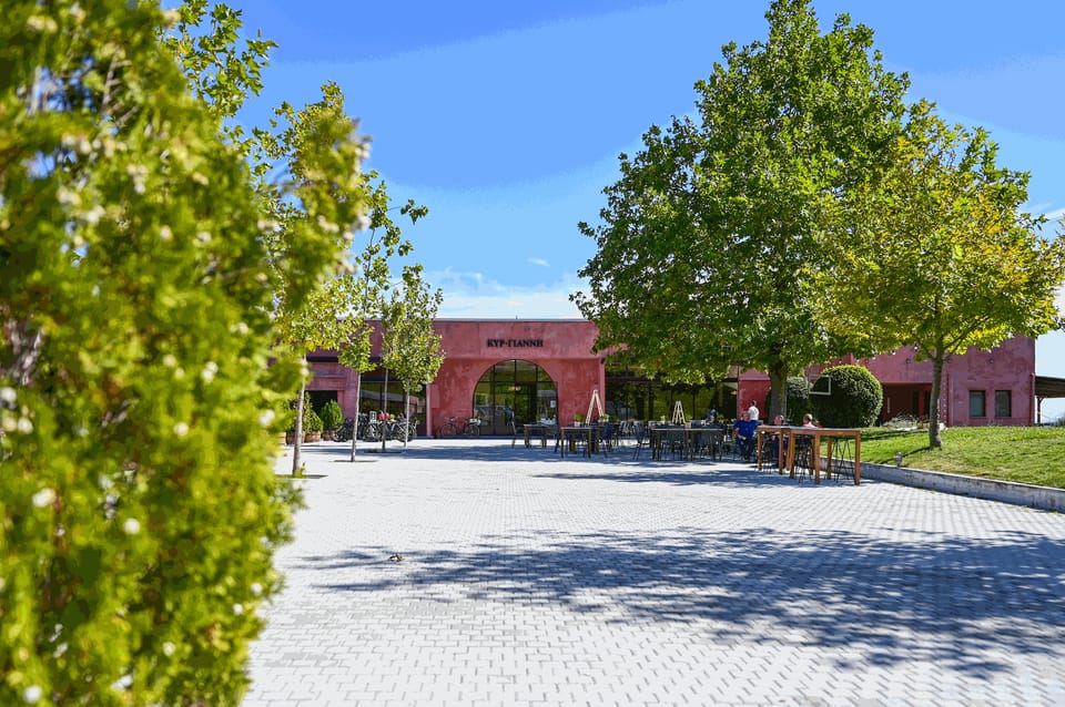 From Thessaloniki: Pella-Edessa-Naousa wine tasting - Key points to know before booking