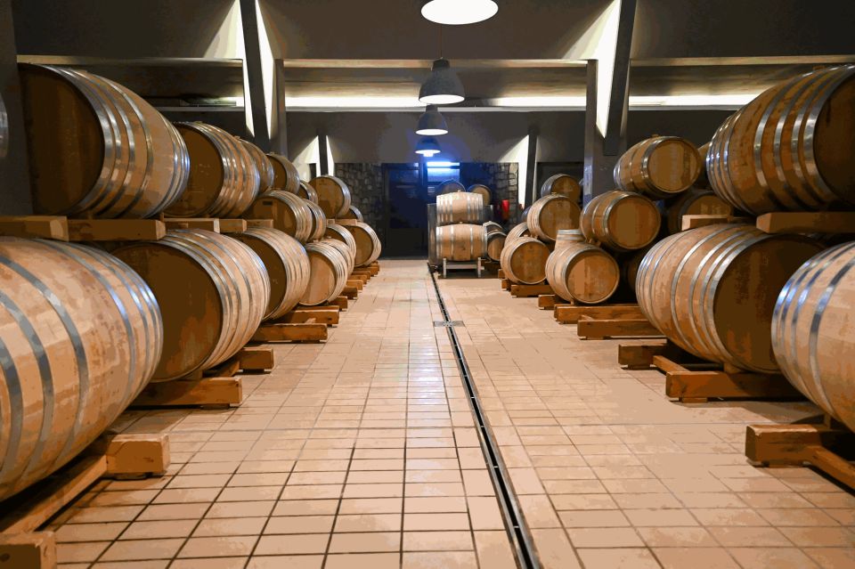 From Thessaloniki: Pella-Edessa-Naousa wine tasting - What the $76 price really covers