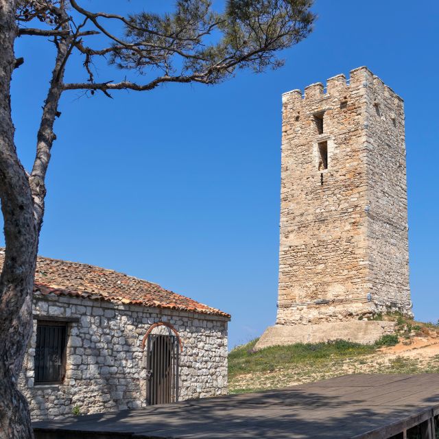 From Thessaloniki: Private Day Trip to Kassandra Chalkidiki - Should you book the Kassandra day trip?