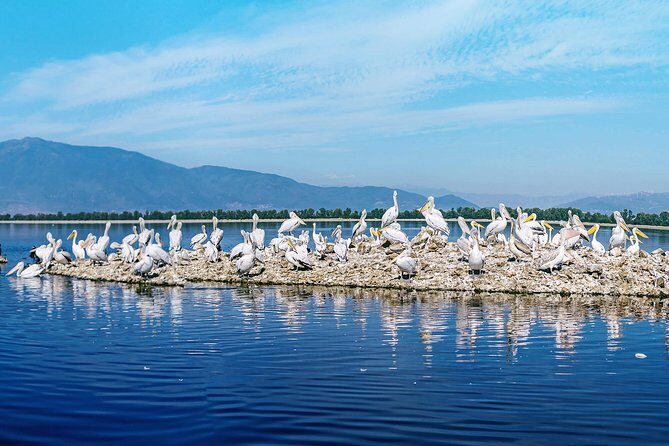 From Thessaloniki: Private Day Trip to Kerkini Lake - The Return Drive After 2:00 PM: How to Use the Time