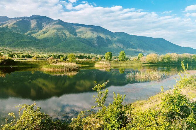 From Thessaloniki: Private Day Trip to Kerkini Lake - Price and Value: $577 per Group Up to 8 (What You’re Really Buying)