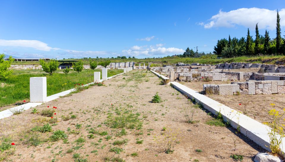 From Thessaloniki: Vergina & Veria Half-Day Tour - The New Museum of Aigai