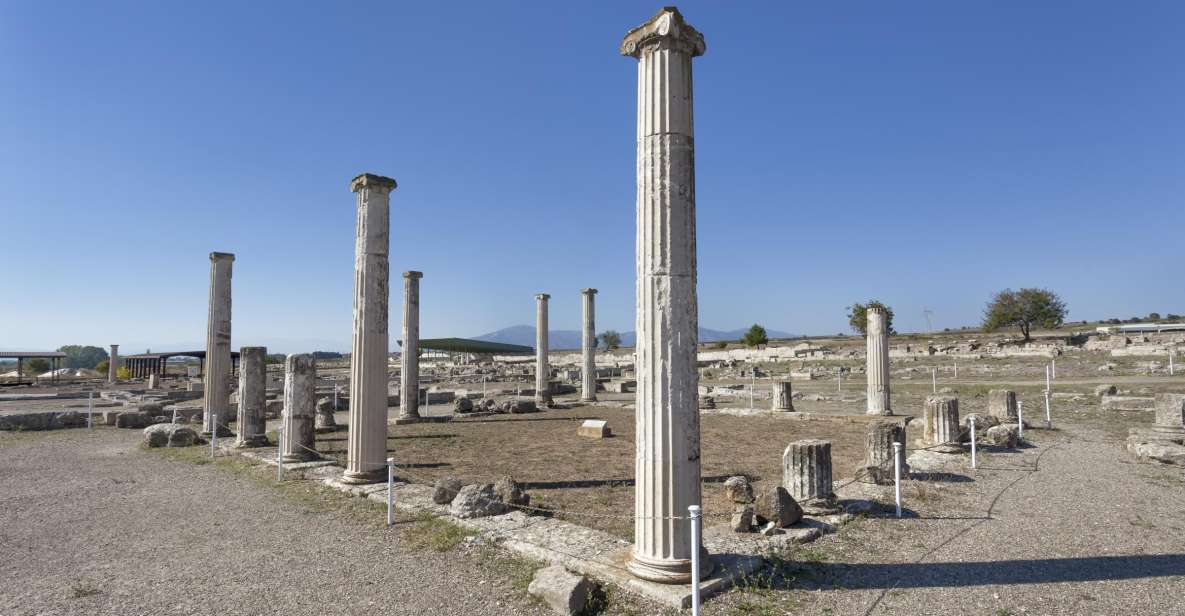 From Thessaloniki: Vergina & Veria Half-Day Tour - Beneath the Vergina tumulus