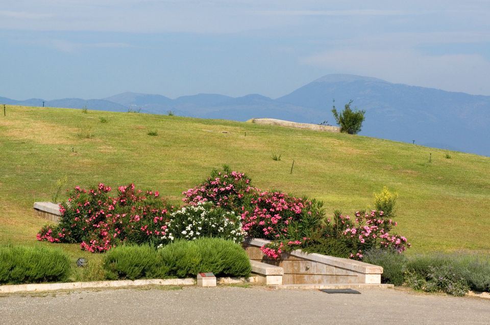 From Thessaloniki: Vergina & Veria Half-Day Tour - Is the $68 price good value?