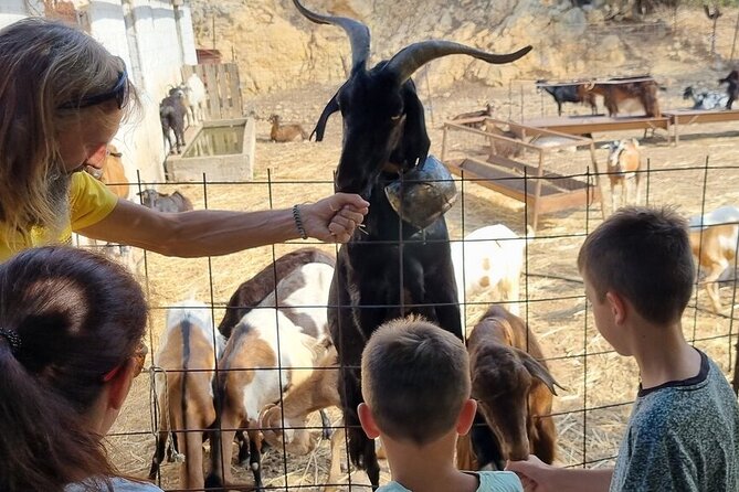 Full Day 4x4 Self-Drive Safari Tour in Crete with BBQ Lunch - Across the Lasithi Plateau to Krasi