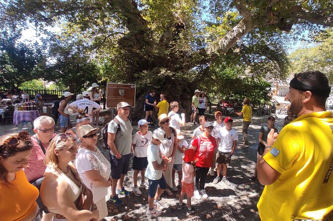 Full Day 4x4 Self-Drive Safari Tour in Crete with BBQ Lunch - Malia: learn the vehicle before the fun starts