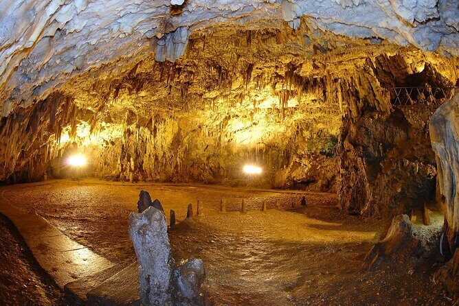Full-Day Fiskardo Island Guided Tour [From Kefalonia] - Price and logistics: is this $45.35 tour actually good value?