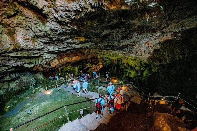 Full-Day/Half-Day Tour : Lasithi Plateau & Knossos Palace - Greek mythology in a one-hour stop