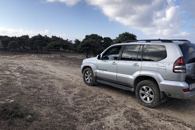 Full-Day Jeep Safari in Kos and Kefalos with Lunch - Plaka Forest offers a calm start among the pines