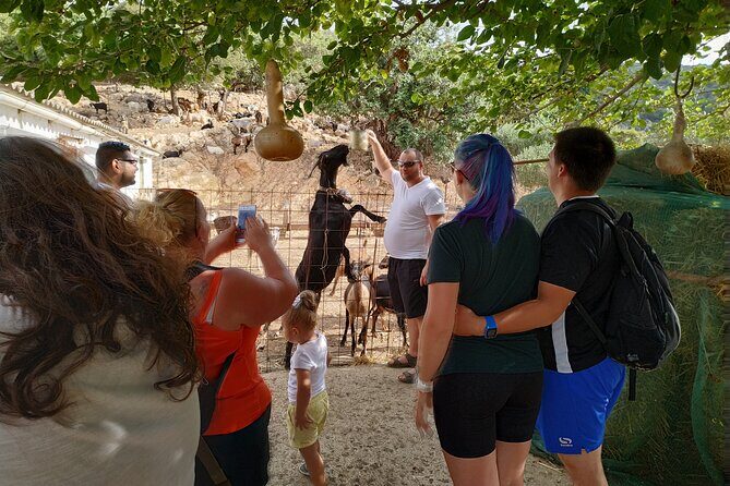 Full-Day Jeep Safari Tour with Cooking Lesson - Pinakiano Cooking Class: Cook With Local Professionals