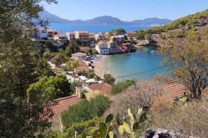 Full-Day Kefalonia Private Sightseeing Tour - Omala Winery-Distillery Stop: Local Tastings That Feel Like a Visit, Not a Sales Pitch