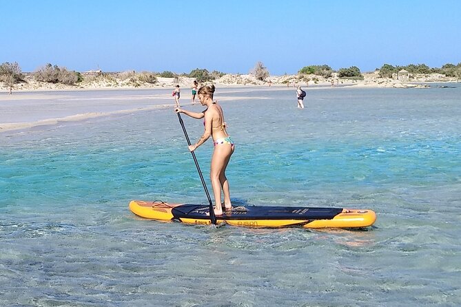 Full Day Private Minivan Tour to Elafonisi Beach and kedrodasos - Why this private Elafonisi trip works