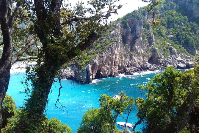 Full Day Private Tour to the North of Corfu Island - Kratsalo olive oil and local food tasting
