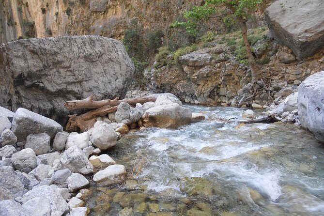 Full Day Samaria Gorge 10-Mile Walking Tour - Agia Roumeli finish: lunch on your own and the beach run