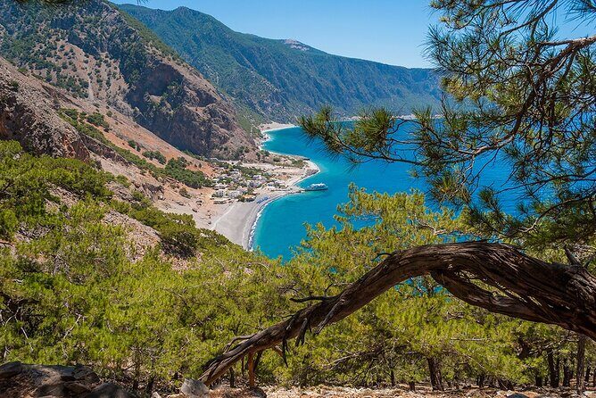 Full-Day Samaria Gorge Chania Guided Tour - Price Breakdown and Value: What $36.20 Really Buys