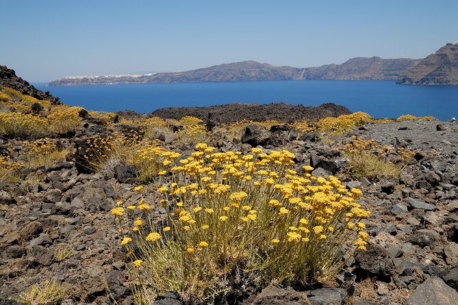 Full Day Santorini Caldera Cruise - The Boat Ride: Oia Views, Shade Limits, and Sea-Mood Check