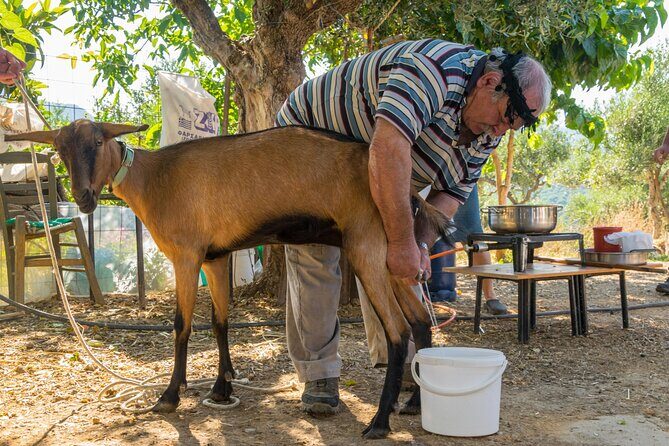 Full-Day Small-Group Tour in Crete with Zeus Cave Visit - Lunch in Ano Kera and Krasi: wood-oven cooking with wine and water