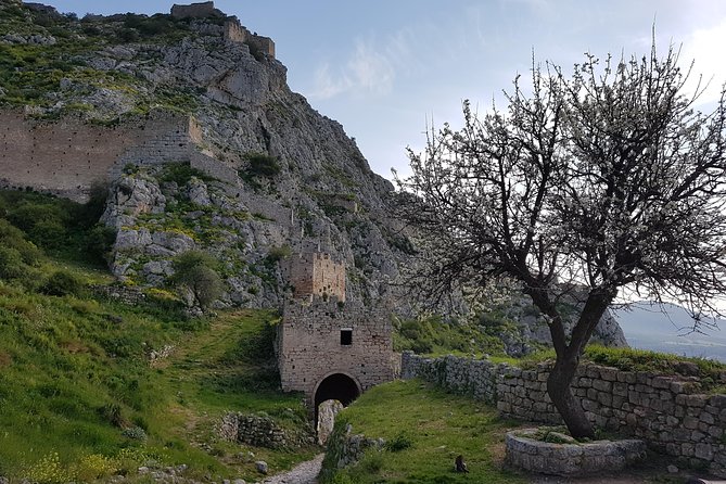 Full day tour Ancient Corinth with wine or olive oil tasting - Wine or olive oil tasting adds a local note