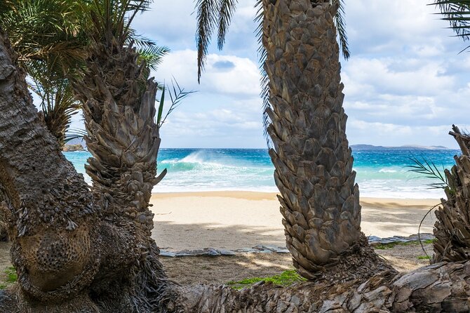 Full-Day Tour to Vai Palm Beach, Toplou Monastery, and Sitia Town - Sitia offers a gentler finish by the sea