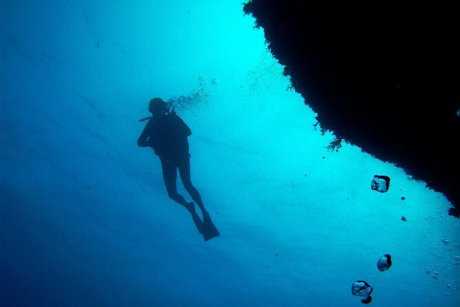(Full day)Scuba Diving in Rhodes - Gear, Instructors, and Safety That You Can Feel