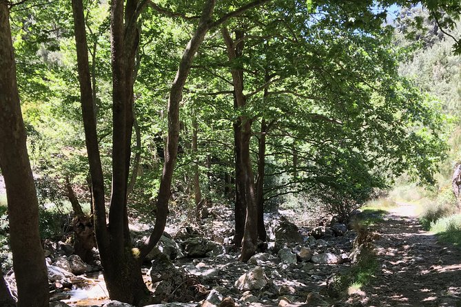 Fygou and Agia Irini Gorge Loop Half Day Hiking Tour - Starting high near Omalos and Samaria country