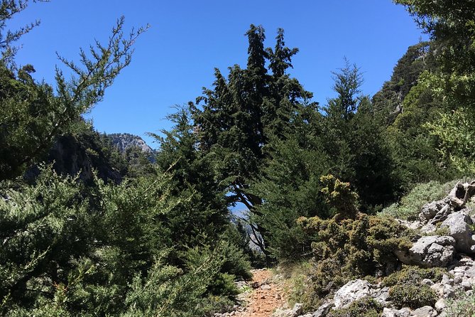 Fygou and Agia Irini Gorge Loop Half Day Hiking Tour - Returning by the Venetian route