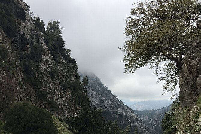 Fygou and Agia Irini Gorge Loop Half Day Hiking Tour - What the private format is worth