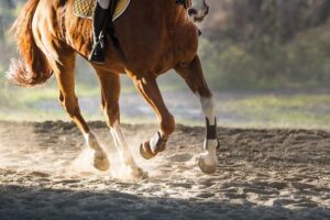 Golden Hour Gallop: Evening Ride in Paros - Where you meet in Kakápetra and how to get there