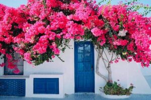 Gourmet Journey: 12-Course Lunch, Wine Tasting & Culinary Session - From Rhodes Port to the Winery: The Easy Start