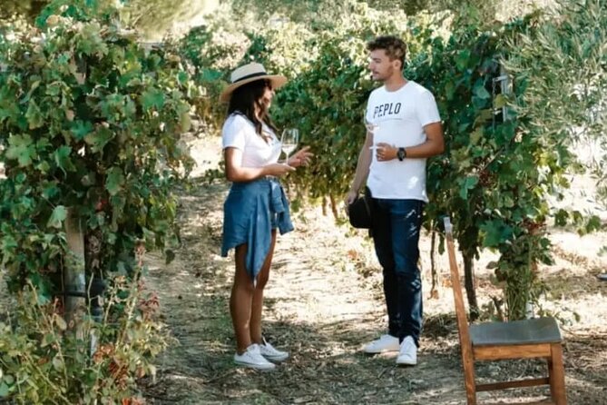 Greece Wine Roads: Athens, Nemea and Santorini - Private transport, ferry, and flight details