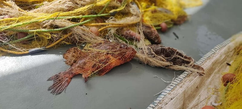 Group Morning Tour to Polyaigos - Lunch cooked on the boat