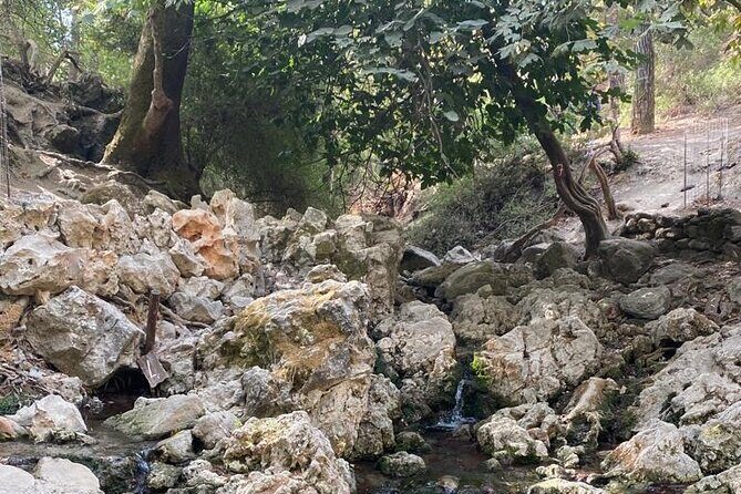 Guided hike to the seven springs from Archangelos - Archangelos to Epta Piges: Why Rhodes’ Seven Springs Hike Is So Worth It