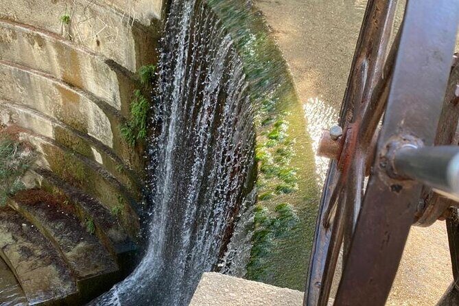 Guided hike to the seven springs from Archangelos - Meeting Point at Agios Savvas: The 8:30 Start That Makes Sense