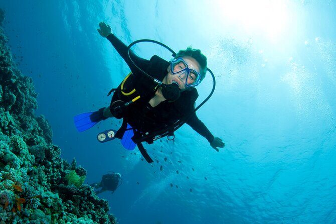 Half day boat diving experience for beginners in Kos Greece - Key Highlights Worth Noting