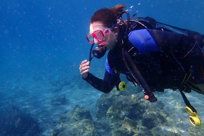 Half day boat diving experience for beginners in Kos Greece - Underwater time and marine life: what you’ll actually see