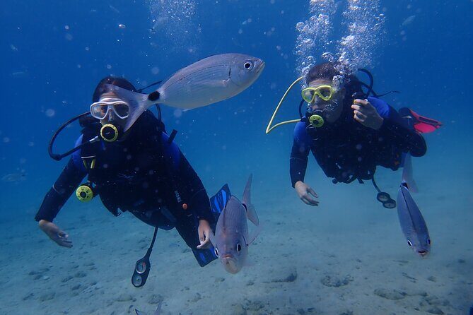 Half day boat diving experience for beginners in Kos Greece - After the first session: snorkeling, sundeck breaks, and your second option