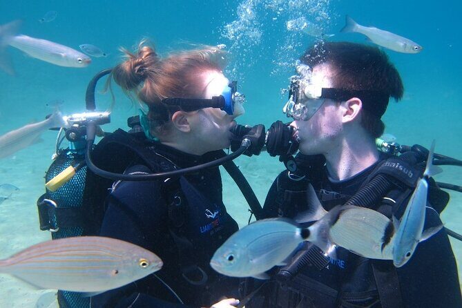 Half day boat diving experience for beginners in Kos Greece - Price and value: what $126.15 gets you, and what costs extra