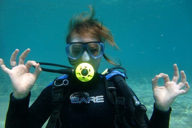 Half day boat diving experience for beginners in Kos Greece - Who should book this and who should check first