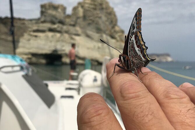 Half day Catamaran Morning Cruise in Kleftiko - Price and What You’re Actually Paying For
