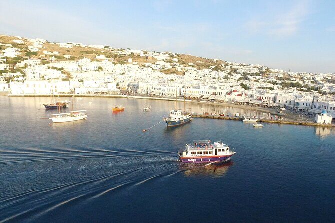 Half Day Delos Tour of Mykonos from the Cruise Ship Port - Price and value: what $78.19 covers, and the true all-in cost