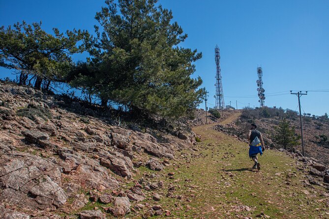Half Day e-Bike Tour in Thassos Villages and Mountains - The downhill run to Skala Sotiros