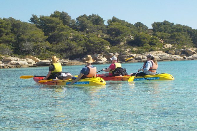 Half Day Kayak Trip - Key Highlights You’ll Feel Immediately