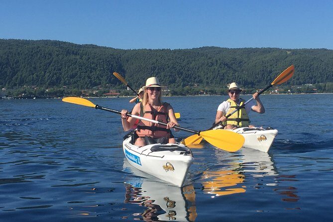 Half Day Kayak Trip - The First Big Break: Swim and Snorkel Under Pine Shade