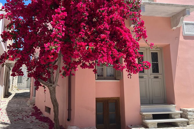 Half Day Naxos Village Private Tour - Eggares Olive Press Museum and the story of Naxos oil